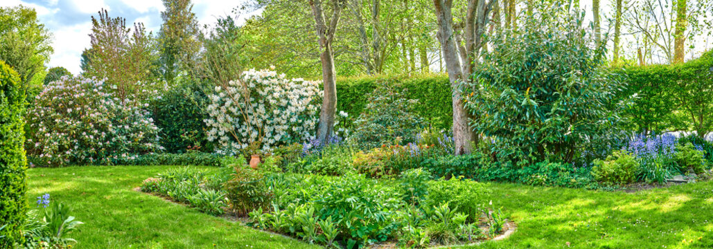 Landscape of a beautiful garden with manicured lawn and various flowering plants growing on a sunny day outdoors in spring. Vibrant landscaped backyard with overgrown shrubs and flowers