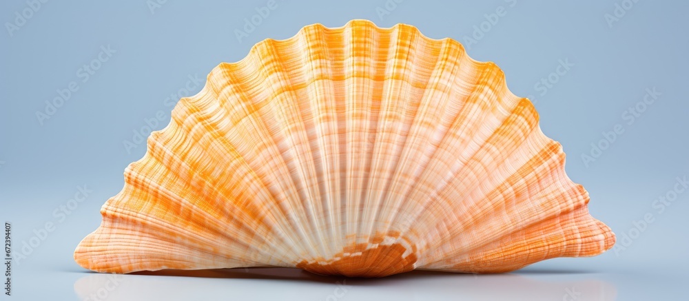 Poster a seashell that is separate and alone positioned against a background that is entirely white