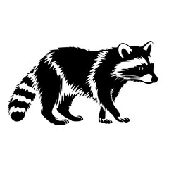 raccoon vector