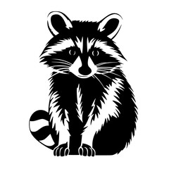 raccoon vector