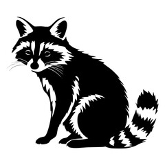 raccoon vector