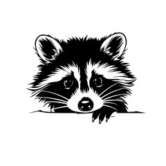 raccoon vector © HappySoulDigitalArt