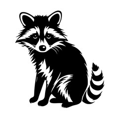 raccoon vector