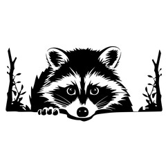 raccoon vector
