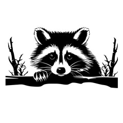 raccoon vector