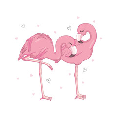 Love Flamingos. Hand drawn vector illustration of two flamingos kissing with necks in the shape of a heart.