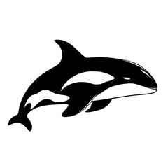 Whale Vector