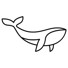 Whale Vector