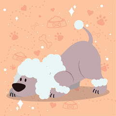 Cute sniffing french poodle dog cartoon character Vector