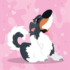 Cute scratching border collie dog cartoon character Vector