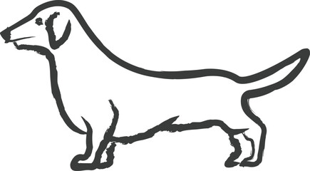 Dachshund dog hand drawn vector illustration