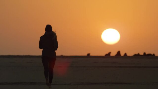 Girl Running On Beach With Seals Sunset Namibia