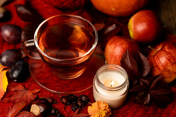 Obraz na płótnie Canvas Tea with vitamins. Autumn mood. Healthy Lifestyle