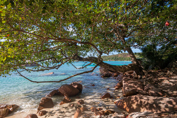 Seychelles - Anse Lazio beach 