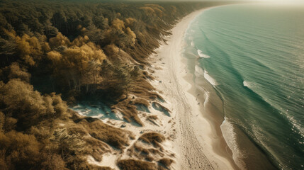 Aerial view of a beach and forest.
