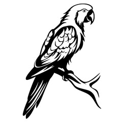 parrot vector