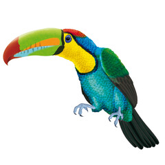 toucan, oiseau, perroquet, animal, vecteur, tropical, nature, dessin animé, ar, isolé, branchages, bec, illustration, vert, bleu, arbre, jaune, perruche, ailes, blanc, fleur, rouge, joli, empennage, a