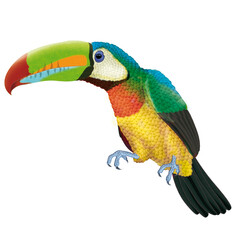 toucan, oiseau, perroquet, animal, vecteur, tropical, nature, dessin animé, ar, isolé, branchages, bec, illustration, vert, bleu, arbre, jaune, perruche, ailes, blanc, fleur, rouge, joli, empennage, a