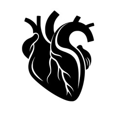 Heart Vector