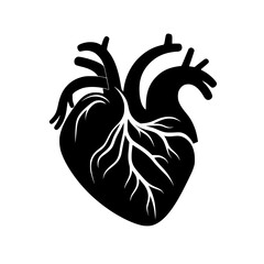 Heart Vector