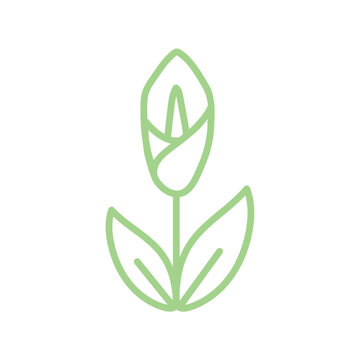 Isolated flower outline icon Vector