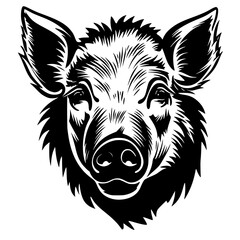 Boar Vector