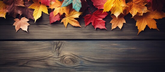 Naklejka na ściany i meble Colorful autumn foliage set against a dark wooden backdrop enhanced with retro vintage filters