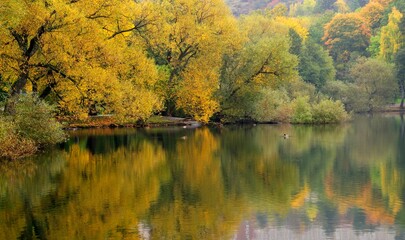 Fototapeta premium Autumn in lake Trekanten - Stockholm