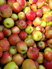 Jabłka Jonagored z bliska, dojrzałe owoce. - obrazy, fototapety, plakaty