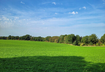 Krajobraz Belgia, pola uprawne, natura w Brabancji. - obrazy, fototapety, plakaty