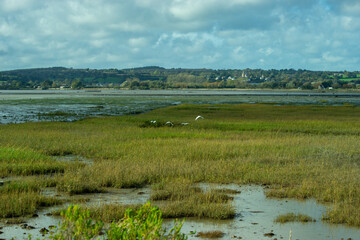 Promenade dans le Cotentin, peu de temps avant la tempête Ciaran à Saint-Vaast-La-Hougue situé en Normandie, France
