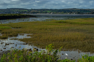 Promenade dans le Cotentin, peu de temps avant la tempête Ciaran à Saint-Vaast-La-Hougue situé en Normandie, France