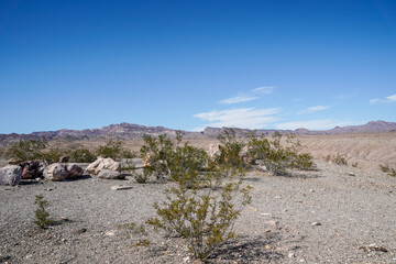Colorado River view from Nelson, Nevada.