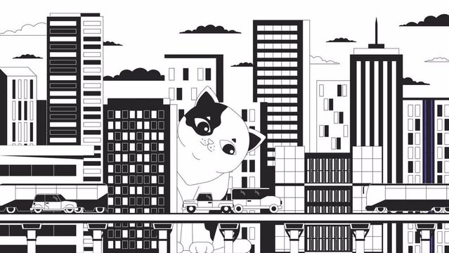 Giant cat watching over city highway bw outline 2D animation. Curious kitten behind building 4K video motion graphic. Gigantic kitty counting vehicles monochrome linear animated cartoon flat concept
