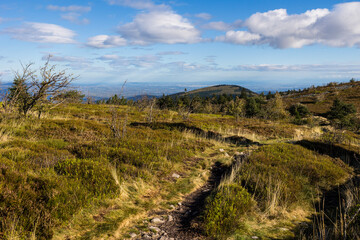 Chemin de randonnée des Crêts du Pilat à l’automne entre les landes, prairies de montagne et sapinières