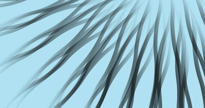 Abstract black and white interlaced curved lines loop slow motion on blue background.