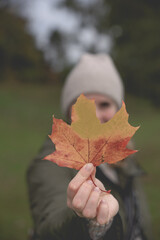 Ahornblatt in der Hand