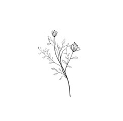 branch of tree with roses