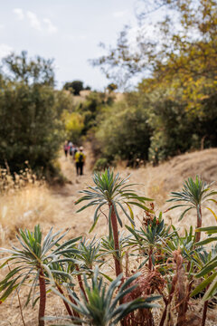 Kavala &ndash; Palia (Old) Kavala Footpath, historical hiking route &ldquo;Mother of the Water&rdquo; inside the woods