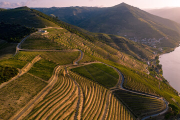 Drone footage of vineyards on the banks of the Duoro in Portugal's Duoro Valley
