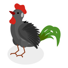 3D Isometric Flat  Set of Chickens. Item 4