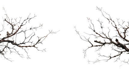 tree branches isolated on transparent background - obrazy, fototapety, plakaty