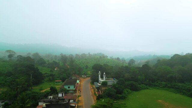 Thalappuzha, Town With Tea Plantation in the Background