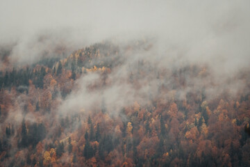 Foggy Landscape, Karkonosze, Mountains