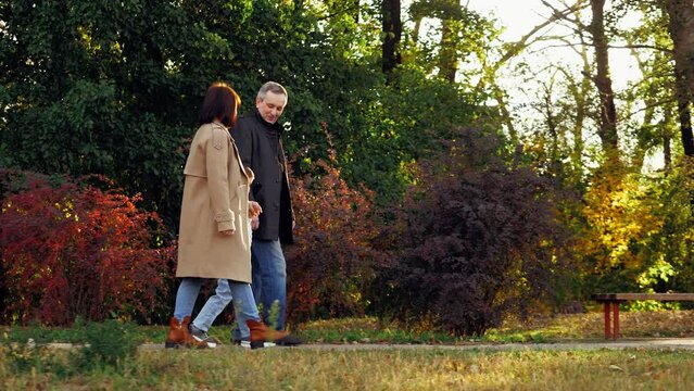 Exemplary family walks through autumn park holding hands past benches and bushes