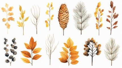 watercolor autumn plants, cones clipart, white background, copy space, 16:9
