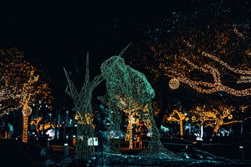 lights on trees in the park, a man is holding an umbrella