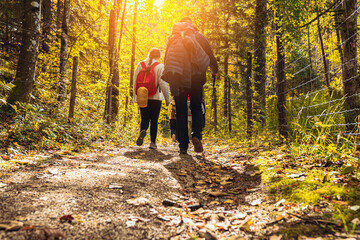 Fototapeta premium group tourists walking along forest path with backpacks