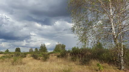 I would like to go back there