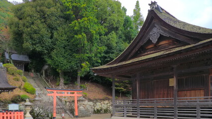 琵琶湖 白鬚神社 本殿4